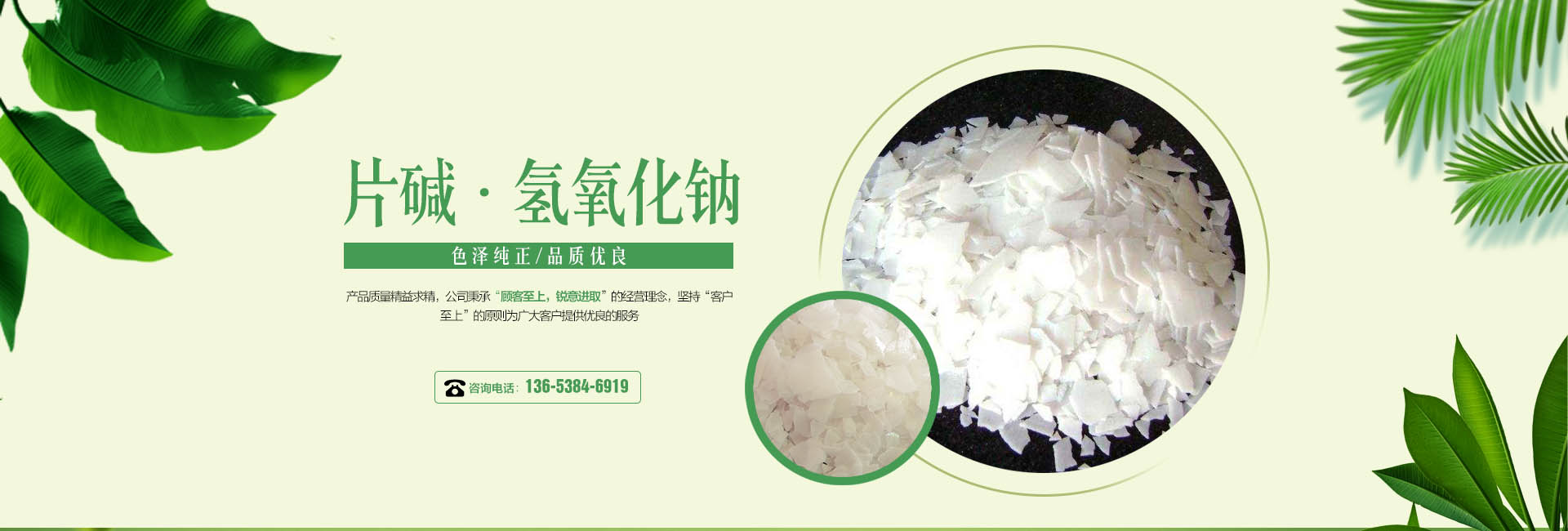 專業的綠化養護團隊